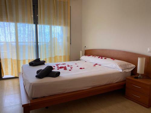 Apartamento Ebre