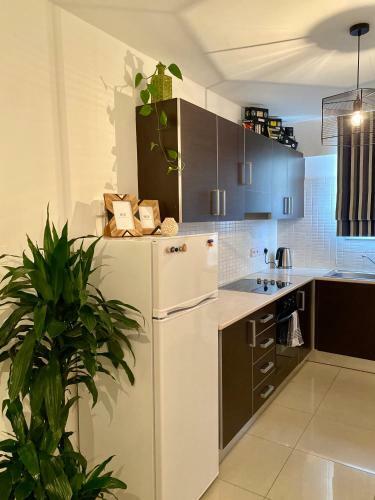 Fat Cow Apartment 102