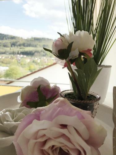 Apartamento Zollernalb-apartment