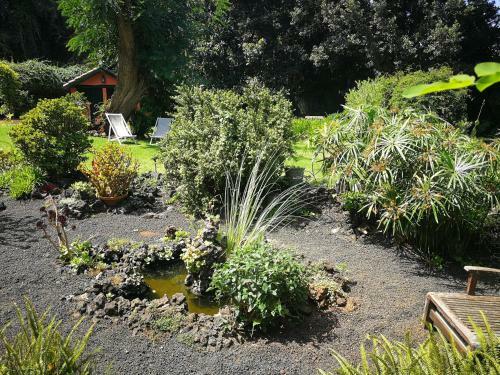 Jardines de Hortensia - Vacation Home Tenerife
