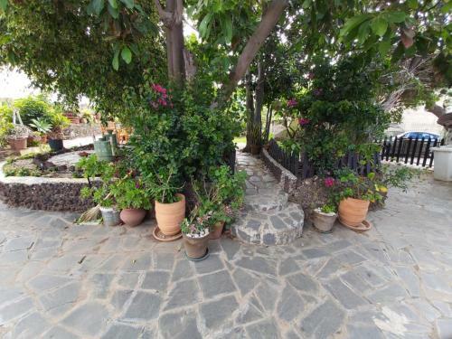 Beautiful House With Access To Pool Tenerife Es