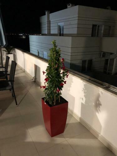 Luxuri Apartmans