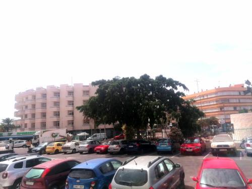 Apartamento Playa Del Ingles Los Molinos 115