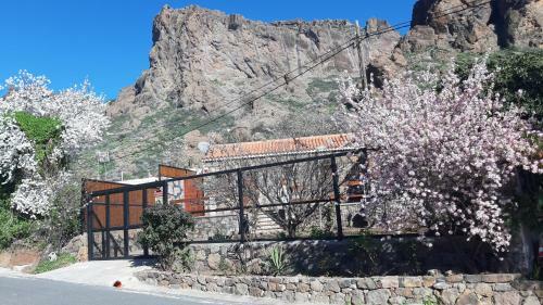 Casa Rural Ayacata