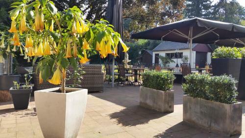 Hotel Hostellerie Rozenhof