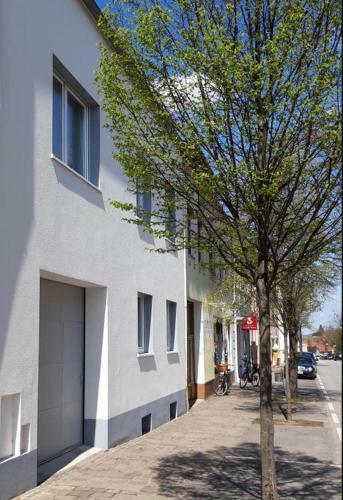 Campanell - Das Ferienhaus Im Blaufr�nkischland
