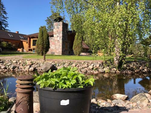 Excellent Log House With A Sauna In Lahemaa!