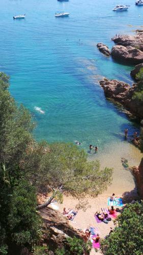 Apartamento Sagar� Front Beach