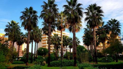 Apartament Veneziola