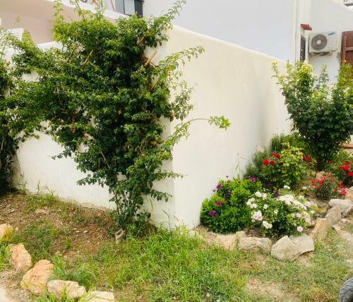 Cala Tarida House