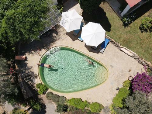 Villa Can Vicent Masia
