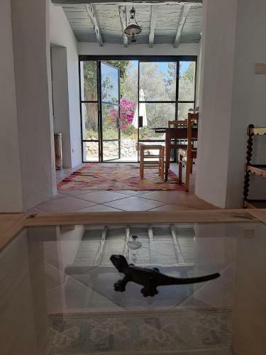 Villa Can Vicent Masia