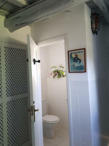 Villa Can Vicent Masia