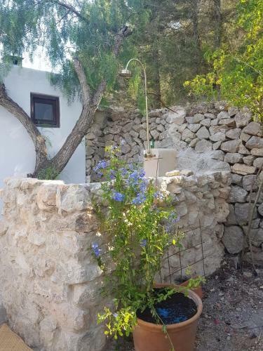 Villa Can Vicent Masia