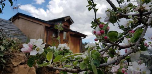 Agroturismo Casa Rural La Jara Blanca
