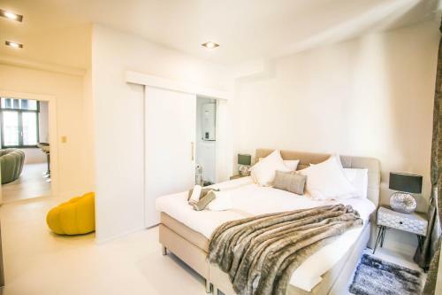 Luxury Apartment