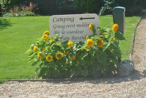 B&B Warnstee