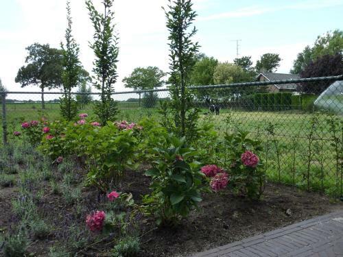 B&B De Lakenvelder