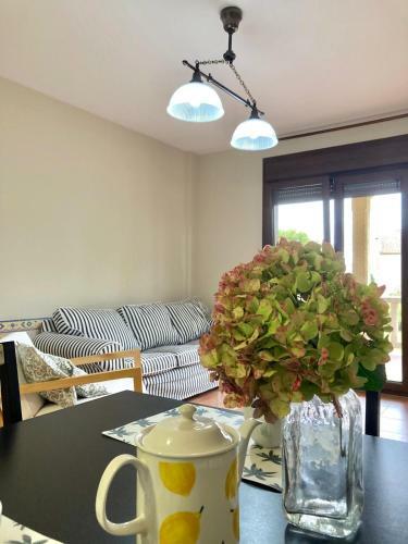Apartamento Casa De Areas
