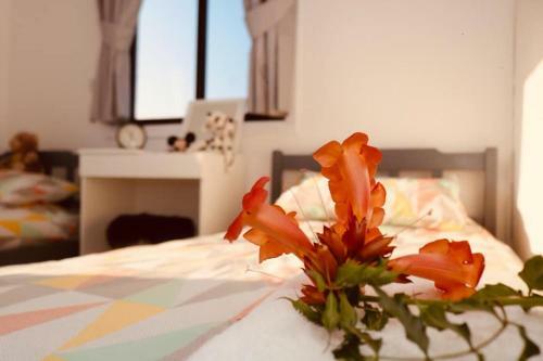 Bed & Breakfast Melsavandy