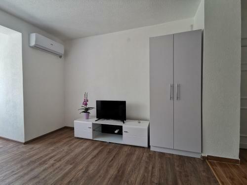 Apartman Mms