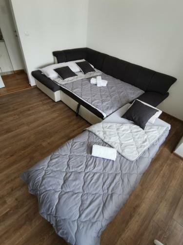 Apartman Mms