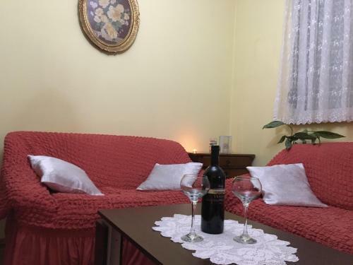 Apartman/stan Na Dan Tesli?