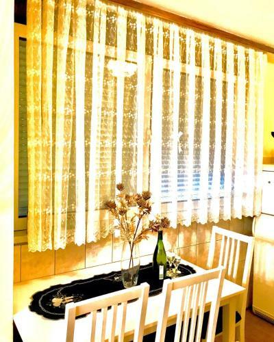 Apartman/stan Na Dan Tesli?