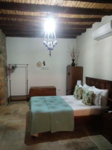 Magic Garden Holiday Home