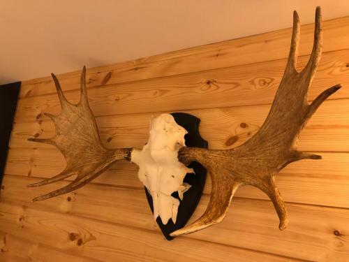 Chalet de Charme, Le "caribou Lodge", Eifel Belge