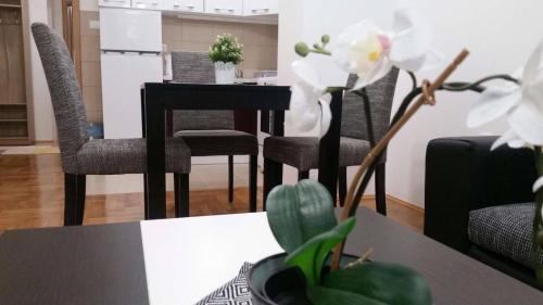 Apartman Jovanka 1
