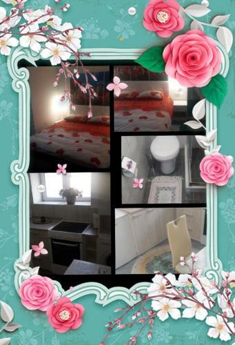 Apartment Voortex