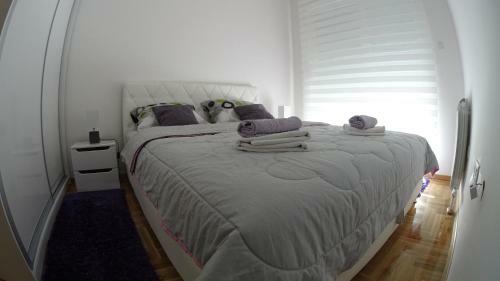 It Apartment