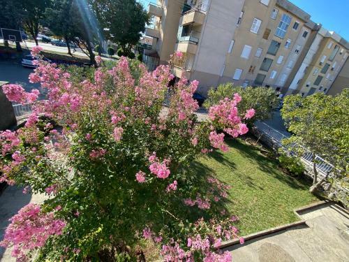 Apartaman Dragana