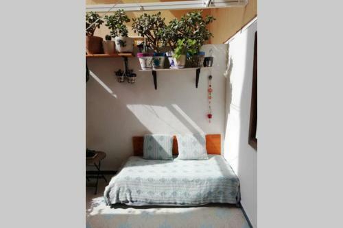 Apartamento Lovely Studio, Terrace, Swim Pool, Nature, Relax!!