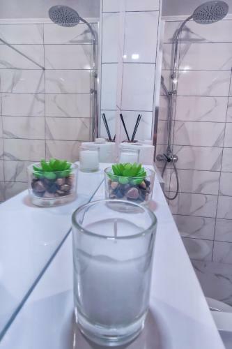 Apartman Vukovi?