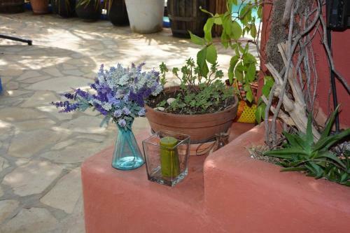 Entre Olivos: Very Charming Villa 18 Sleepers