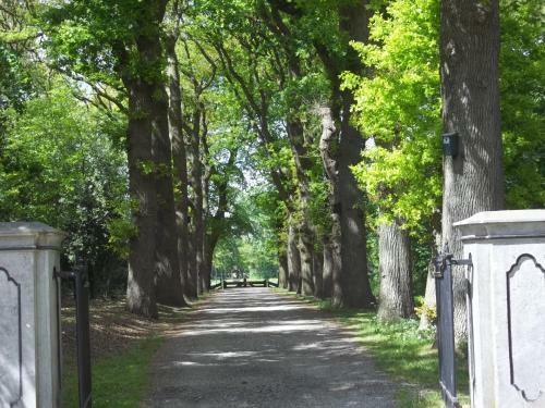 Bed & Breakfast "t Griene Hemeltsje