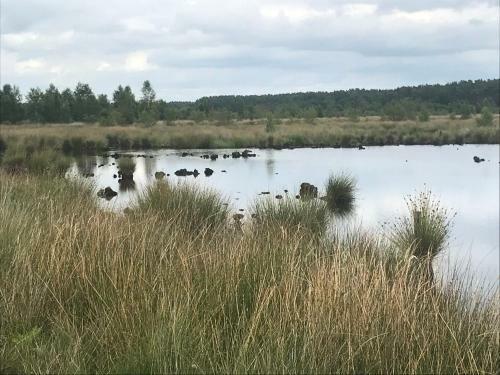 Hoeve Den Anholt