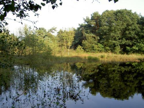 Hoeve Den Anholt