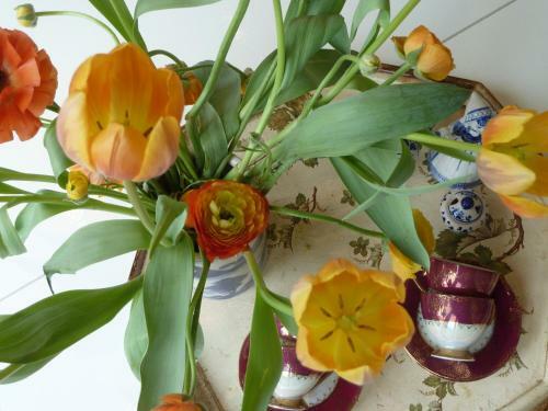 Bed & Breakfast De Tuinkamer