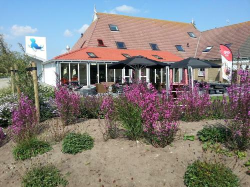 Bed And Breakfast De Zeehoeve