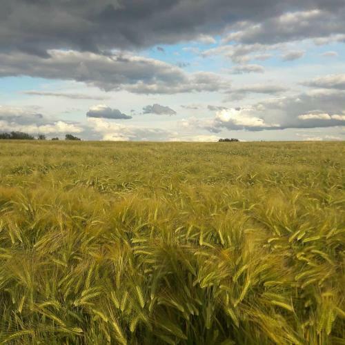 Gite La Petite Beurrerie Des Ardennes