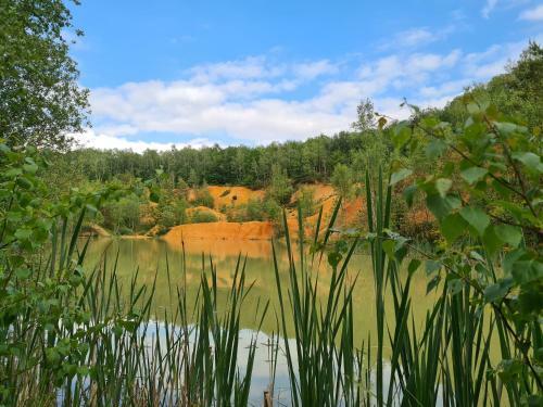Gite La Petite Beurrerie Des Ardennes