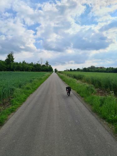 Gite La Petite Beurrerie Des Ardennes