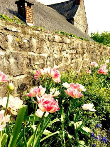 Gite La Petite Beurrerie Des Ardennes