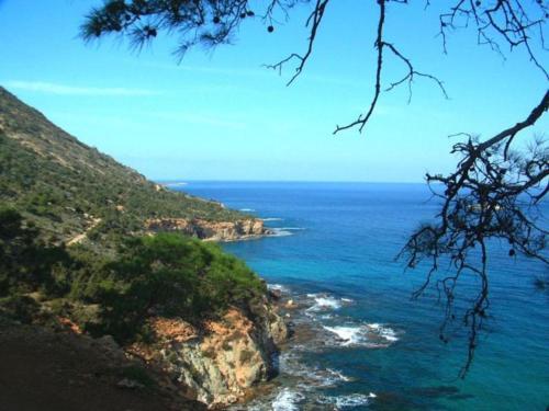 Luxury 3 Bedroom Villa With Private Pool, Paphos Villa 1262