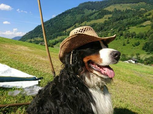 Apartamento Urlaub Am Bauernhof Schiederhof