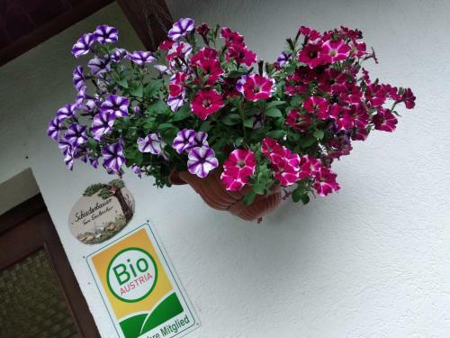 Apartamento Urlaub Am Bauernhof Schiederhof