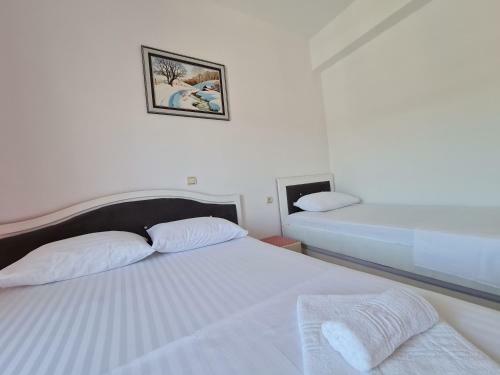 Summer Time Hotel